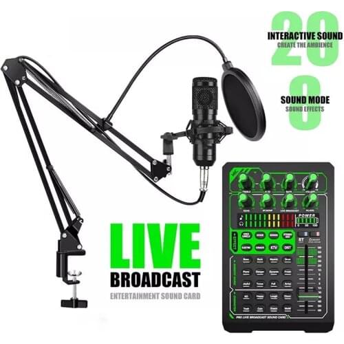 Bm 800 professional condenser microphone mic studio microphone for gaming pc computer karaoke kit bm-800 bm800 E1 sound card