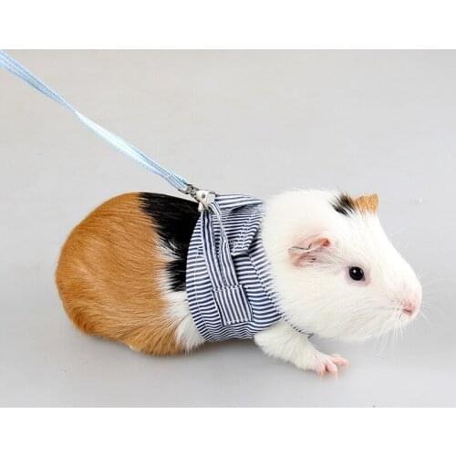 Small Pet Two-legged Chest Strap Outdoor Traction Rope Leash Clothes For Chinchilla Dutch Guinea Pig Breathable Cotton Corset