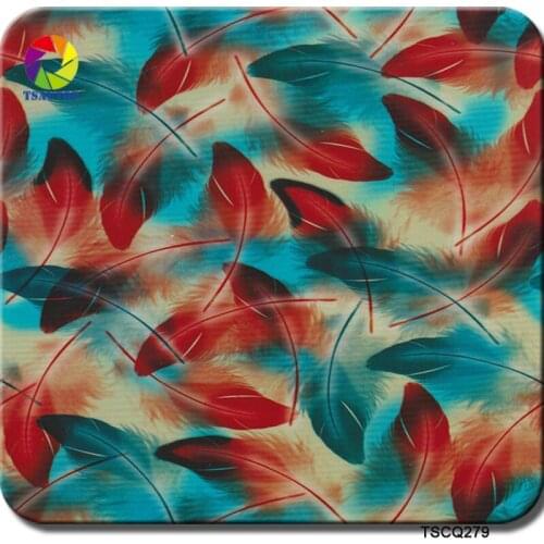 TSAUTOP Size 0.5m x 20m Water Transfer Printing Film Hydro dipping Film Hydrographic Film TS279