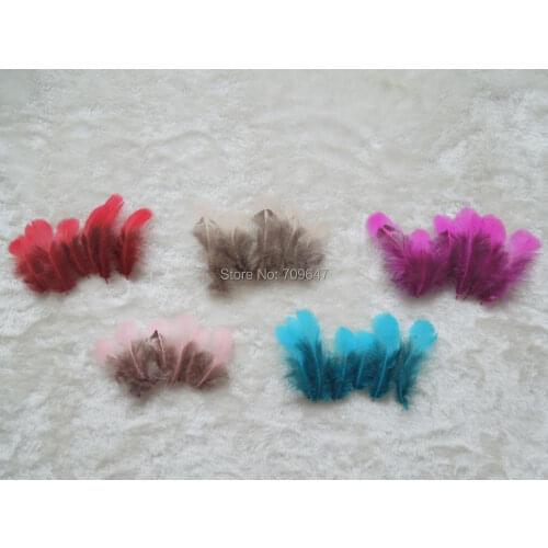 200Pcs/Lot 5-8CM Loose Lady Amherst Pheasant Plumage Feathers,Small Plume for Crafts DIY ,5Colours for Choice