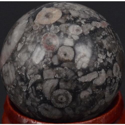 Free Shipping Natural Gemstone 29MM Crinoid Fossil Jasper Sphere Crystal Ball Chakra Healing Reiki Carving Crafts With Stand