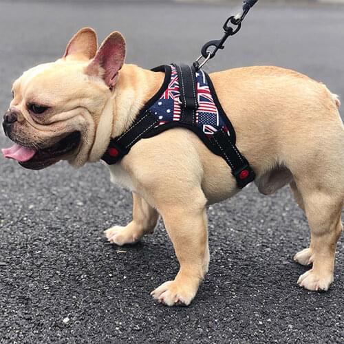 Dog High Quality Collar 1.5m Leash Small Pet Dog Large Hound Outdoor Sports Vest Chest Protector Traction Collar Dog Walking E11