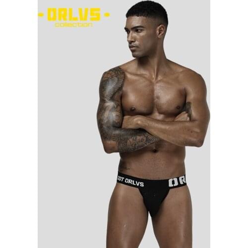 ORLVS Brand Mens Sexy Underwear Briefs Men Nylon Breathable Comfortable Underpants Mesh Gay Lingerie Male Panties OR208