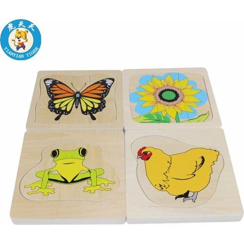 Baby Montessori Biology Toys Preschool Early Education Wooden Multi-layer Growth Puzzle Life Cycle of Animal and Plant