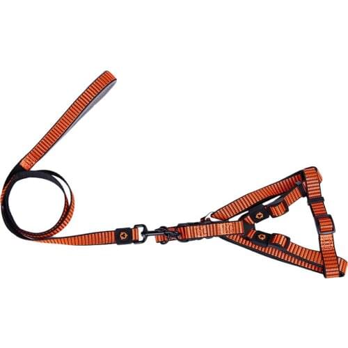 Liopard Animal Decorations