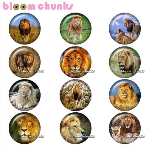 Lions Round photo glass cabochon demo flat back Making findings 12mm/18mm/20mm/25mm A9819
