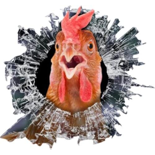 12cm X 13cm Personality 3D Car Sticker Chicken Glass Slag Bird Decals Auto Accessories Car Window Waterproof PVC