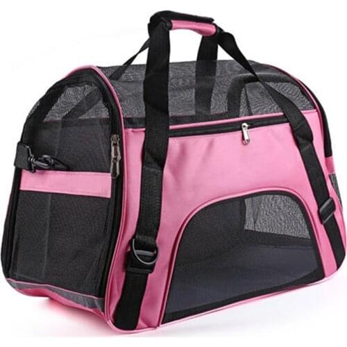 Переноски для мелких животных Rhinocats China At AliExpress