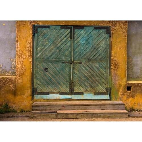 Photographic Backgrounds Nostalgic Door Wall Computer Printed Backdrop Photo Studio for Baby Children Portrait Pets Photobooth