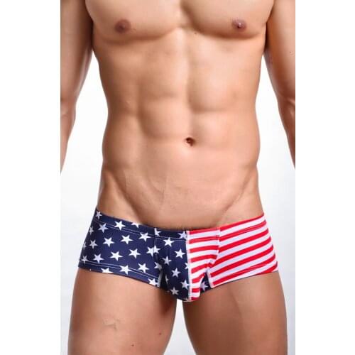 New Sexy Men MINI Boxer Shorts USA Flag Printed Mens Trunks New Low Waist Designed Mens Boxers Cotton Gay Penis Pouch FX1011