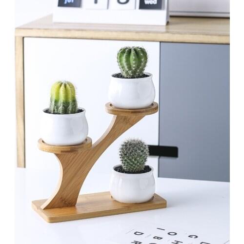 Succulent Plant Shelves Flower Display Stand Bamboo Frame Shelf Holder Ceramic Owl Pumpkin Flowerpot Plant Tray