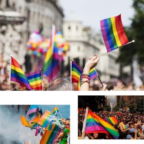 1/5/10Pcs LGBT Gay Pride Rainbow Flag 14*21cm Homosexual Lesbian Pride Peace Bisexual Pansexual Asexual Pennants Hand Flag