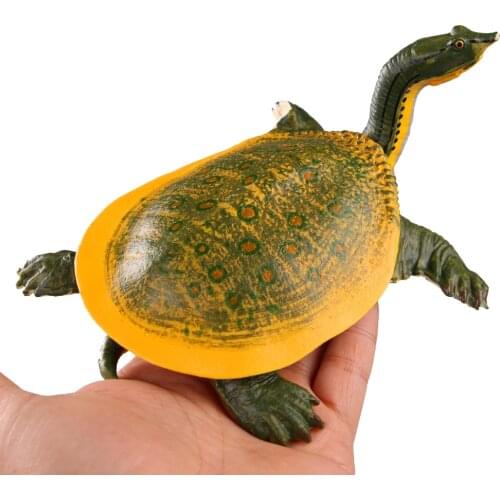 CE identification Simulation Zoo Toy Reptile Tortoise Turtle Animals Model