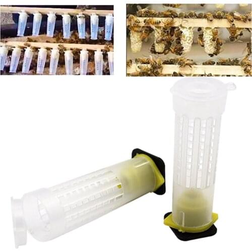 10PCS Queen Bee Cage Cages Cover Bees Tools Anti-bite New Bee King Protection Cells Plastic Accessories Rearing Base Celular