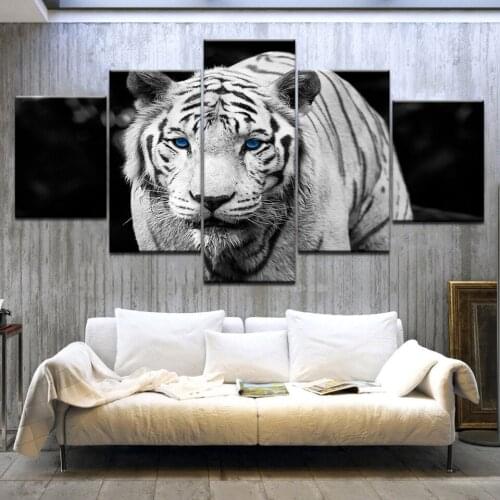 5Panel/piece The White Tiger blue eyes animal Print On Canvas Art Painting For home living room decoration