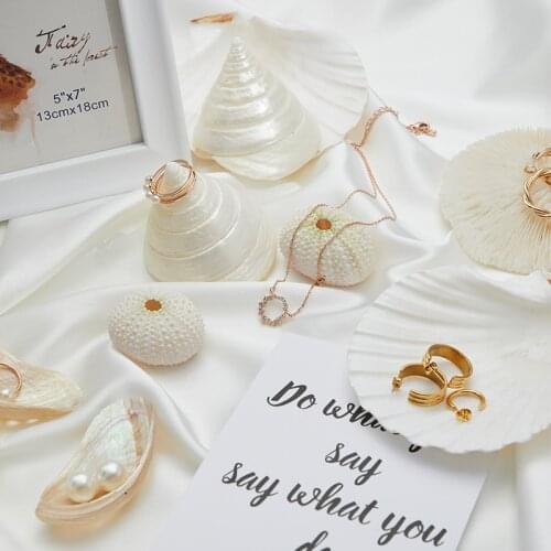 Photo props Acrylic Mirror reflector camera props shooting background decoration pose ornaments conch shell props