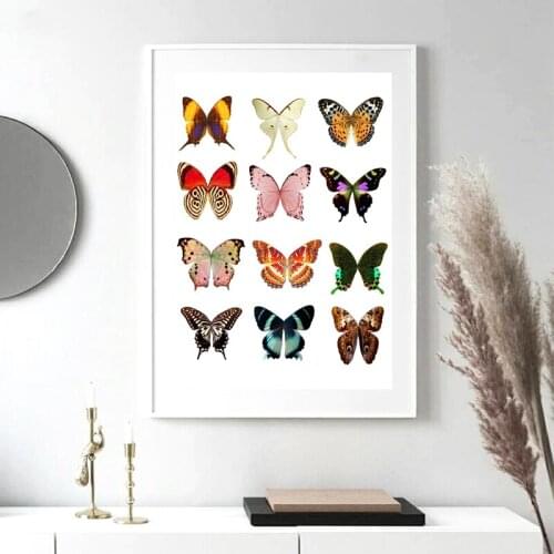 Butterfly Art Print Fairy Wings Colorful Posters Nursery Wall Art Canvas Painting Fairies Whishing Wings Picture Home Room Decor