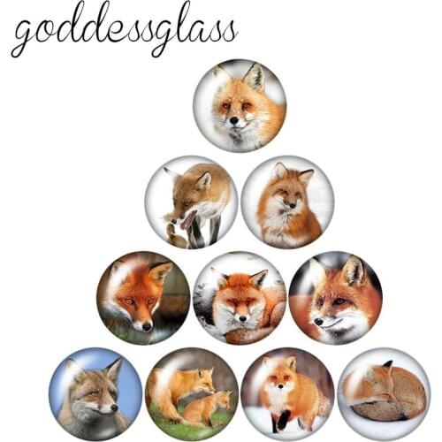 Beauty Hedgehog fox Snail ladybug 10pcs mixed 12mm/18mm/20mm/25mm Round photo glass cabochon demo flat back Making findings