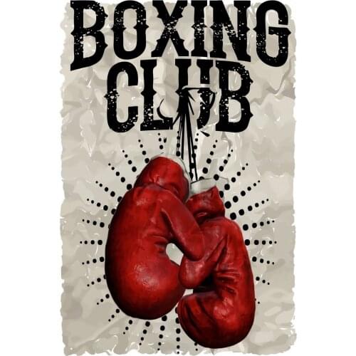 Lot style Choose Boxing Gloves Vintage Nordic Style Art print Silk poster Home Wall Decor