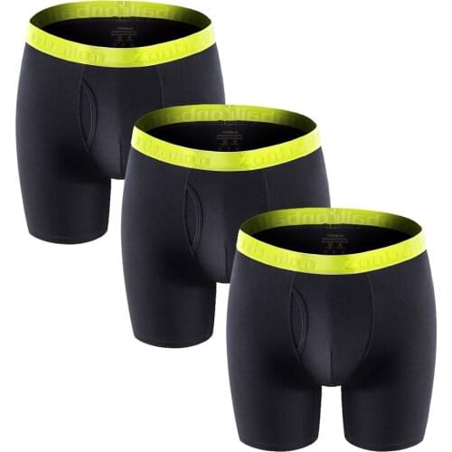 Mens Panties Lingerie Underpants Set Sexy Bamboo-Fiber Men Boxer-Shorts Pack Man Panties Erotic Mens Brand Boxer Briefs