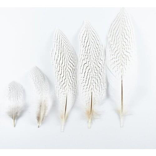 10-30CM 4-12 Inch Natural Silver Pheasant Tail Feathers for Crafts DIY Wedding Decorations White Chicken Pheasant Feather Plumes