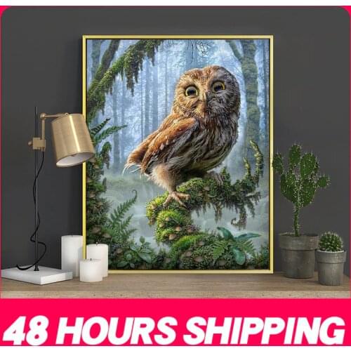 Meian Interior Decor Items