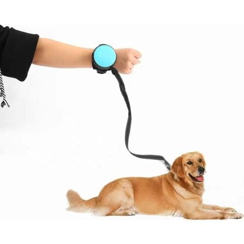 Pet Traction Rope Hands-free Automatic Shrink Nylon Traction Rope Dog Chain 3 Meters Large Medium And Small Dogs Universal