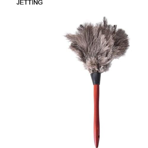 Car Window Cleaning Wood Handle Car Fan Furniture Dust Cleaner Natural Fall Ostrich Fur Feather Anti Static Duster Brush 1 pcs