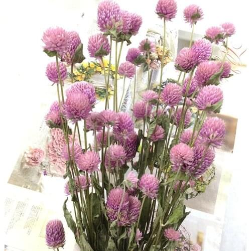 FREE SHIPPING 15pcs Purple natural flower bouquets dried gomphrena bouquets