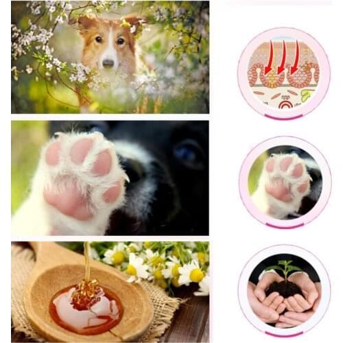 New Pet Paw Care Creams Puppy Dog Cat Paw Care Cream Moisturizing Protection Forefoot Toe Health Pet Products