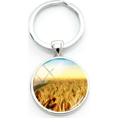 TAFREE 25mm Ear of Wheat Round Photos Keychains Autumn Harvest Foodstuff Glass Beads Key Ring For Farmers Dads Day Gifts