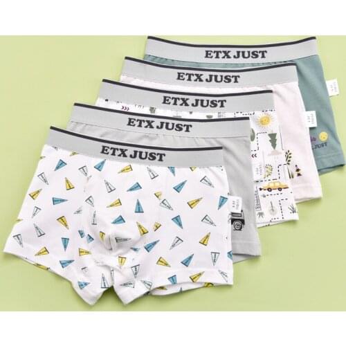 YourSeason 5pcs Cotton Underpants For Kids Boys Cartoon Car Printed Panties Fashion Breathable Underwear For Teenage School Boys
