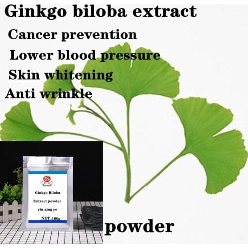 Hot selling high quality Ginkgo biloba extract powder, ginkgolide, yin xing ye, free shipping