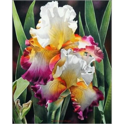 Embroidery Counted Cross Stitch Kits Needlework - Crafts 14 ct DMC Color DIY Arts Handmade Home Decor - Iris Flowers 3