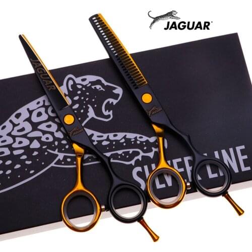 Hair Scissors Professional High Quality 5.5 Inch Hairdressing Scissors Cutting Thinning Set Barber Shop Salons Shears