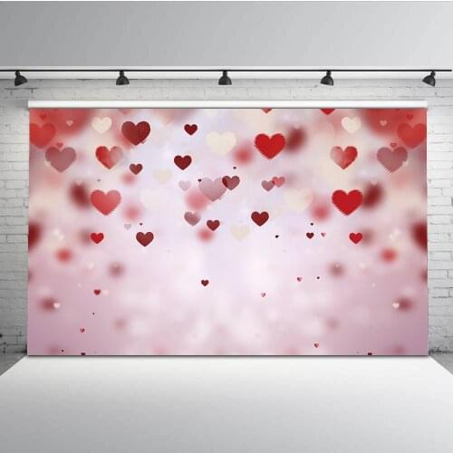 Valentine Day Photo Background Wedding Backdrops Bridal Shower Newborns Baby Child Photo Booth Background Birthday Photography