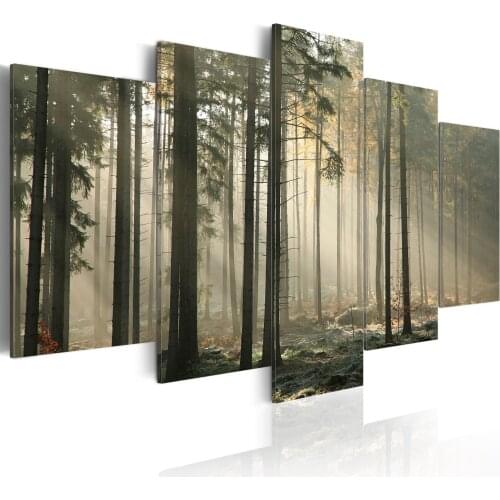 Gloomy picture-bright track in a wood-200x100 cm