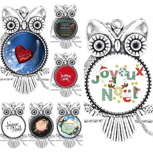 EJ Glaze Fashion Glass Cabochon Pendant Necklace Women Choker Owl Necklace For Unisex Gift Super Institutrice Joyeux Noel