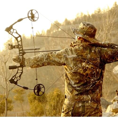 35-60lbs Outdoor Compound Pulley Bow Set Hunting Falcon Compound Pulley Bow And Arrow Equipped With Compound Bow