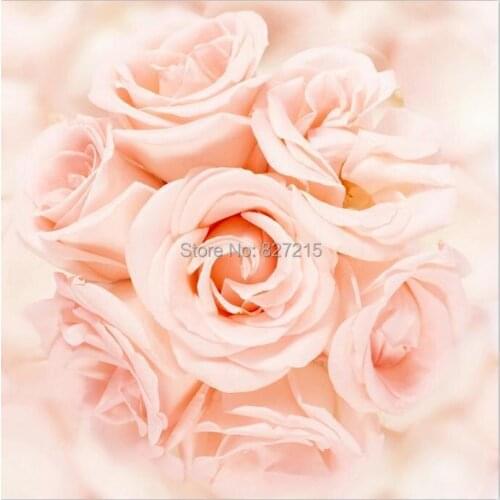 R-2818 Pink Rose Printing Ceiling Film/ Suitable for wallpaper or wall decoration