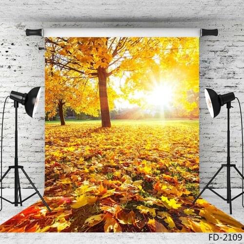 Golden Leaves Sunlight Photographic Backgrounds Vinyl Backdrops Photo Studio for Wedding Photo Shoot Portrait Photobooth Decor