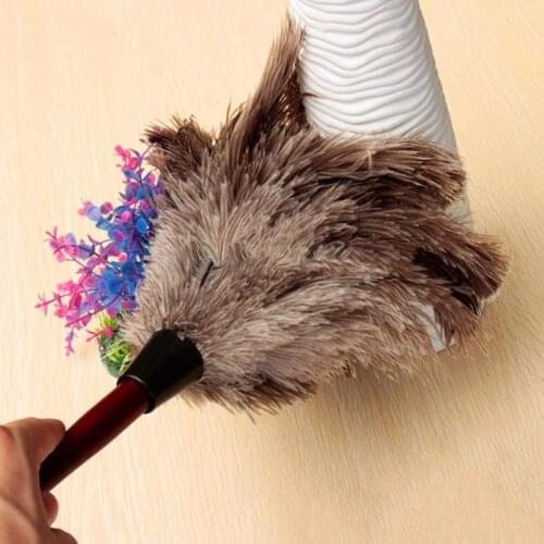 Ostrich Natural Feather Duster Brush Wood Handle Anti-static Cleaning Tool Household Furniturer Car Multifunction Dust Cleaner