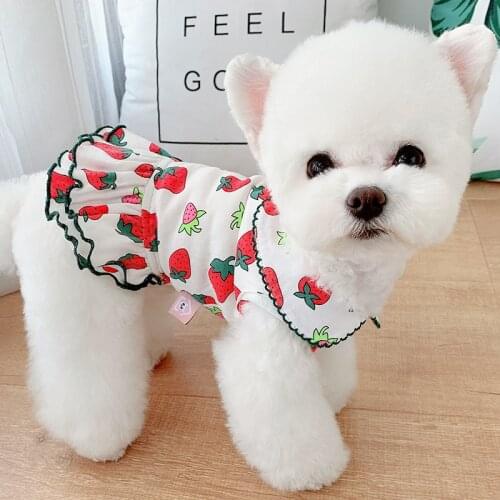 2021 New Super Cute Puppy Dog Strawberry Print Dress Spring Fashion Soft Cotton Pet Dogs Clothes Overalls Shirt Chihuahua Dog