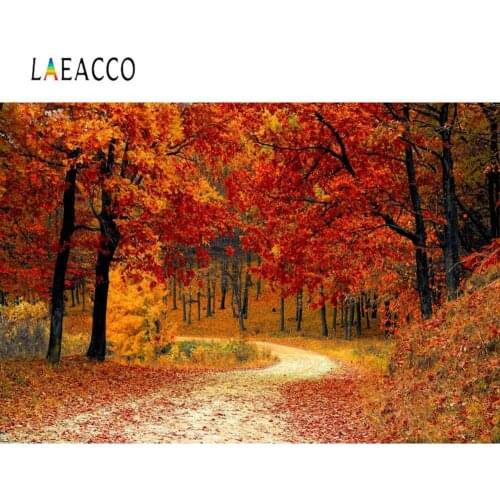 Laeacco Autumn Background Photography Yellow Maples Forest Tree Fallen Leaves Way Natural Scenic Photographic Backdrop Photocall