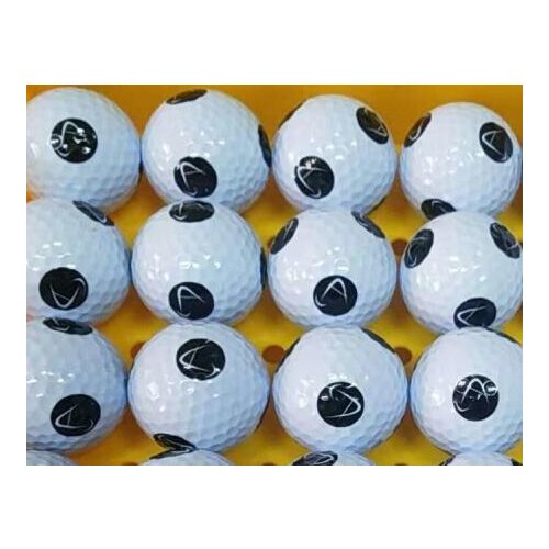 Top quality two pieces golf ball free shipping