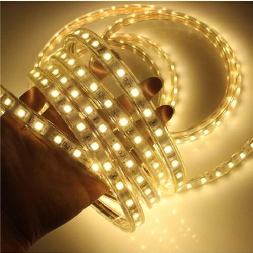 LED Strip Flexible light 60leds/m Waterproof IP67 led light SMD 5050 AC 220V + EU Power Plug 1M/2M/3M/4M/5M/6M/8M/9M/10M/15M/20M