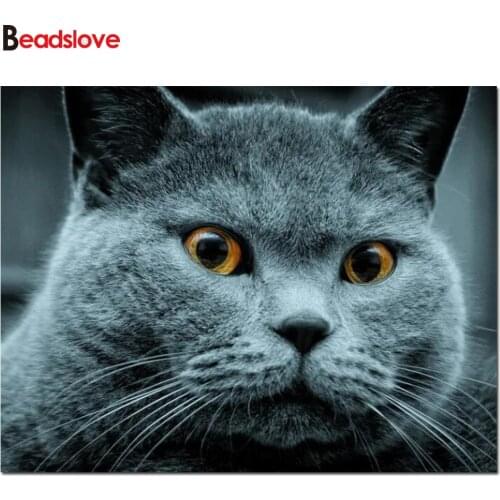 5 d diamond painting British Shorthair cat cross stitch diy diamond embroidery full square round drill mosaic cute pet animal