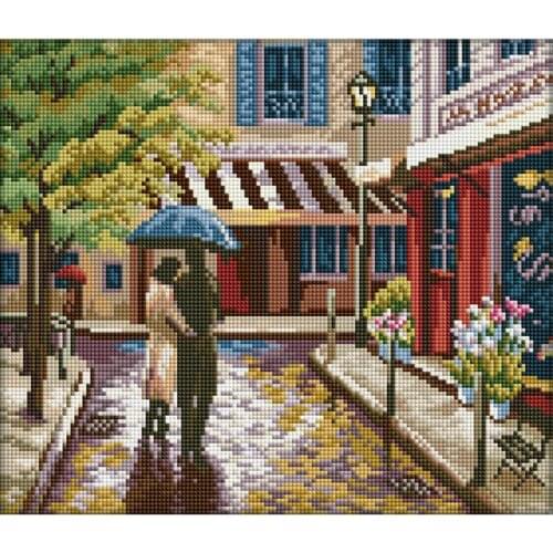 DIY Diamond Embroidery 5D Rain Lovers Diamond Painting Full Square Diamond Mosaic Needlework Crafts Home Paintings