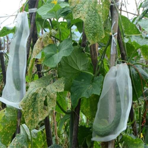 MOONBIFFY Plant Nets