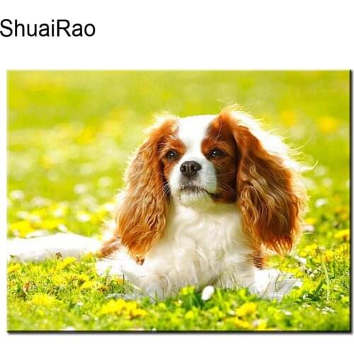 5D DIY Diamond Painting Cavalier King Charles Spaniel pattern cross stitch diamond embroidery sale puppy pet circular rhineston